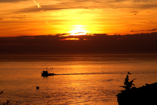 Sunset with Fishing  Boat
[b]Location[/b]: Vrsar, Istria, Croatia
