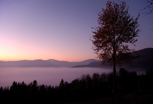 Foggy Landscape at Dawn
[b]Location[/b]: EbenwaldhÃ¶he, Mostviertel, Austria
