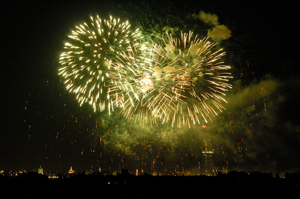Fireworks Donauinselfest - Green
[b]Location[/b]: Floridsdorf, Vienna, Austria
